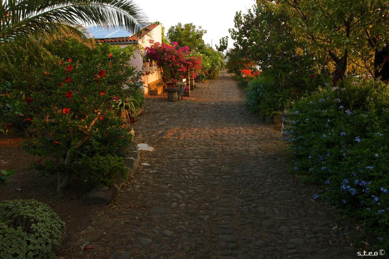 4 Agriturismi a Palermo che Vale la Pena Scegliere